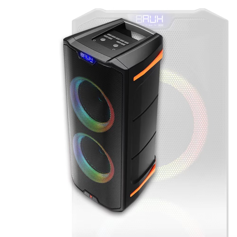 Tragbare 6,5-Zoll-Aktivlautspr – Woofer Bewertung und Preis